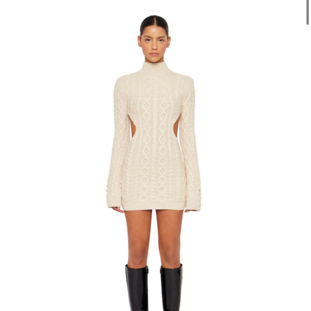 Danielle Guizio Turtleneck Dress